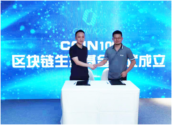 DMTC 2019�����Ӫ����