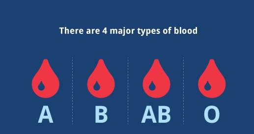 AB型血,为什么被称为贵族血?