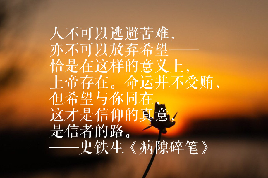 史铁生这十句话折射出对生命对命运的思考句句值得铭记收藏