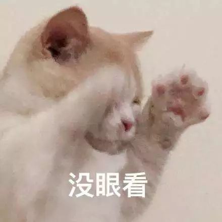 0e9bfee9b3e04140ac0c66dc5e8a57d1.jpeg
