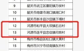 2019忠信镇gdp_河源市忠信镇照片(3)