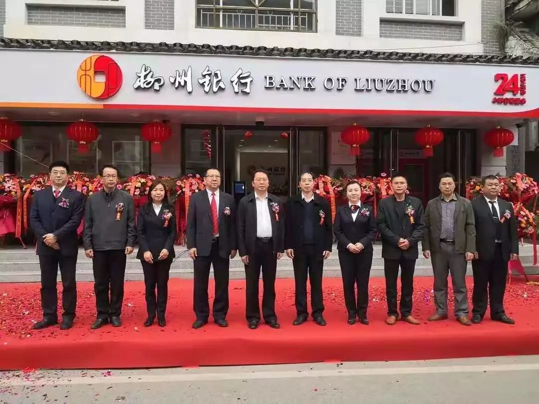 柳州银行流水制作 来自搜狐网