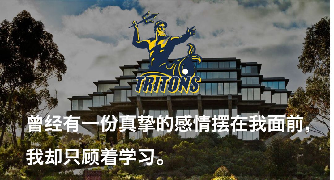 假如美国大学们都有一句诚实的Slogan