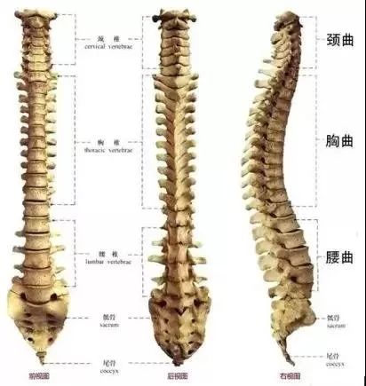 DD叮当麻麻@为了让宝宝睡出好头型，定型枕有必要用吗？