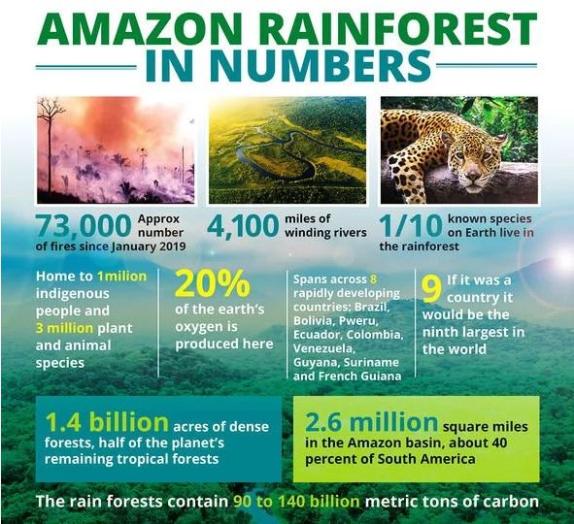 亚马孙雨林的危机与保护_索纳罗