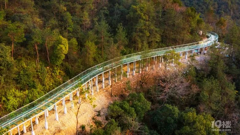 又一网红打卡地:路桥首座空中透明栈道,好似一条巨龙在山腰