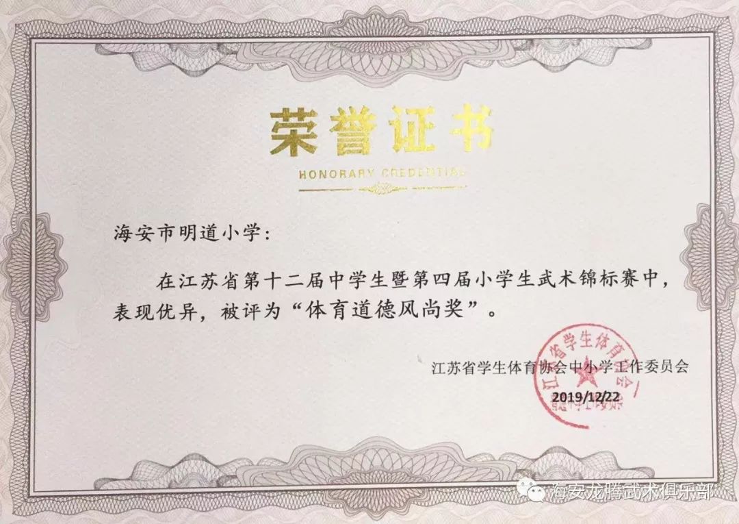 海安娃在江苏省第四届小学生武术锦标赛中荣获二等奖
