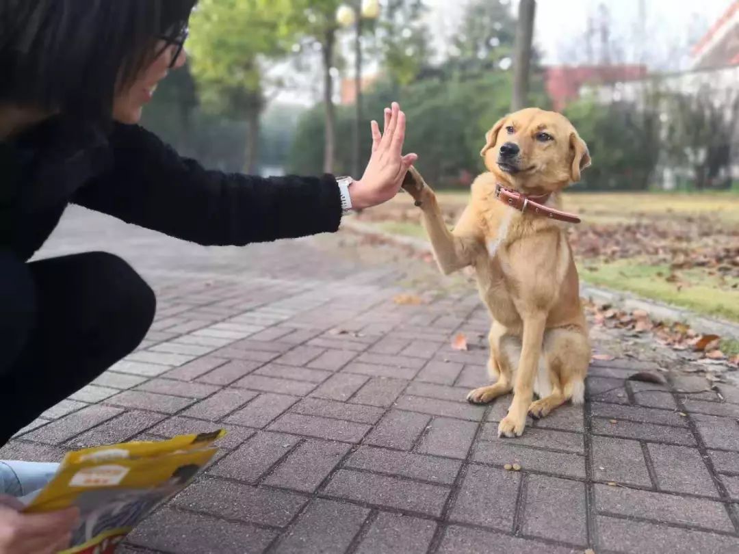 ta想说