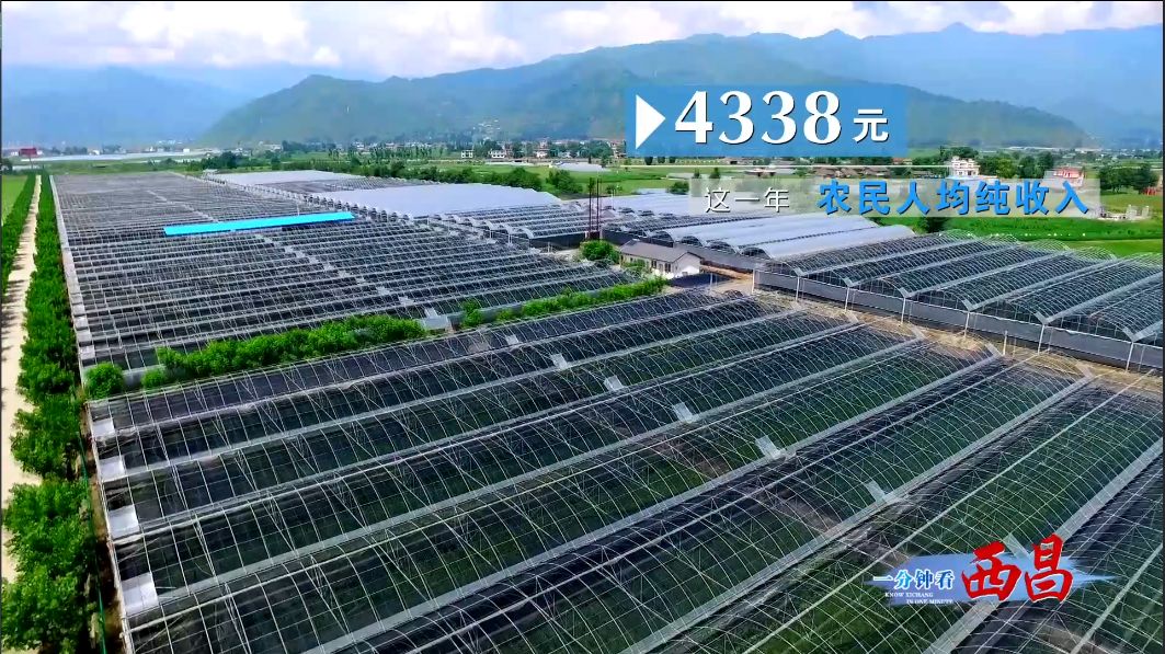 西昌 经济总量 全国_西昌邛海图片(2)