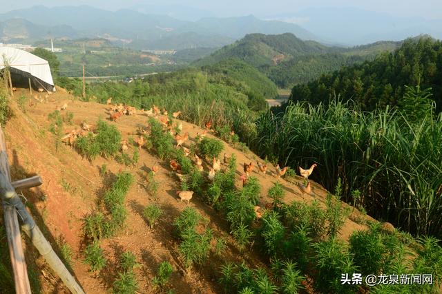 农民能产生gdp吗_农民简笔画