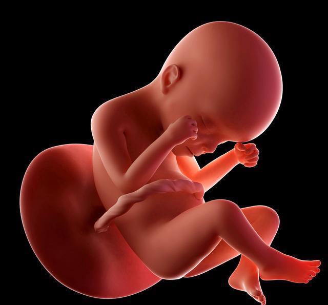 胎宝宝在肚子里会不会也需要拉臭臭和尿尿呀?