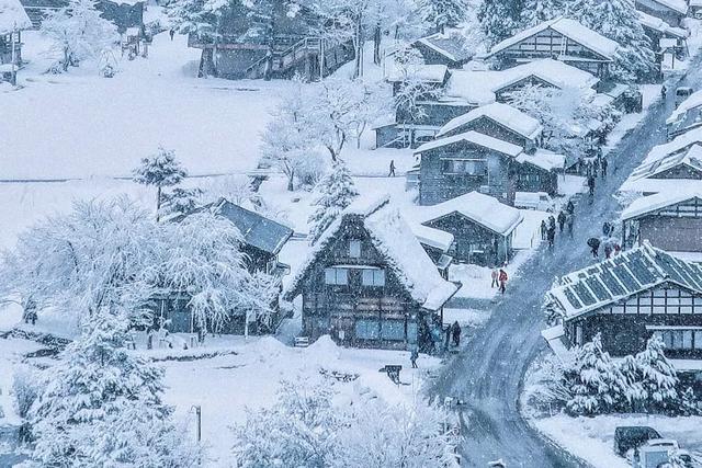 白川人口_北白川玉子(2)