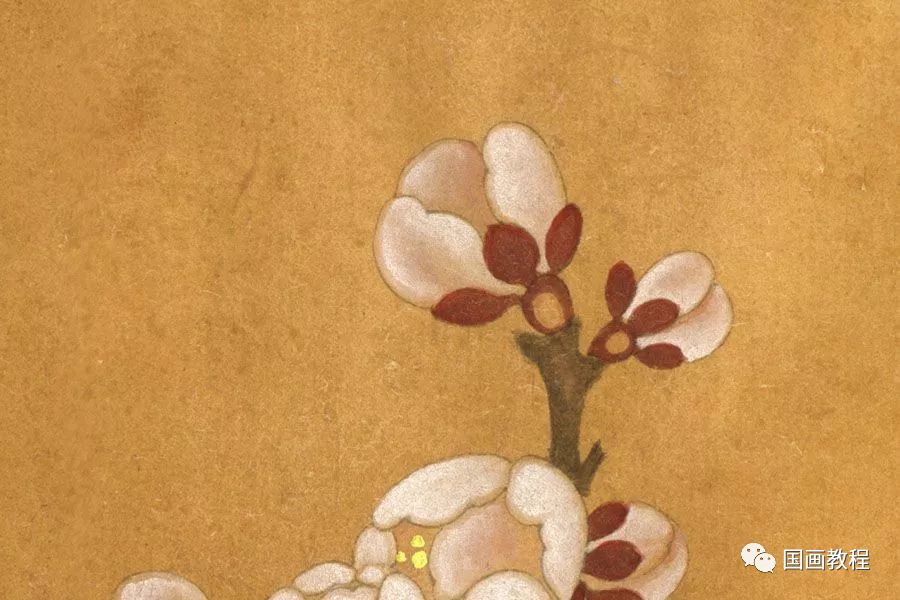 【国画教程】李晓明《临宋杏花图》绘制步骤