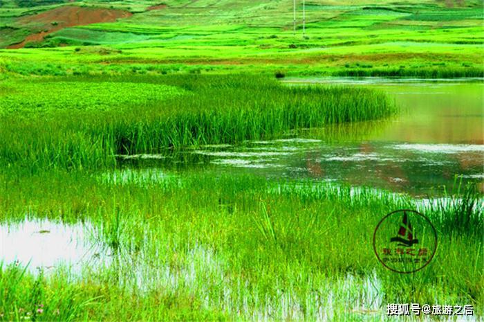 4.布拖县乐安湿地