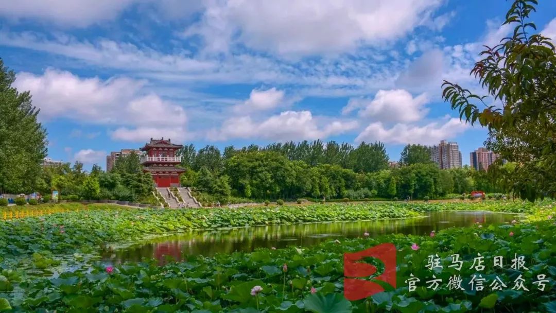 驻马店2019经济总量_驻马店皇家驿站图片