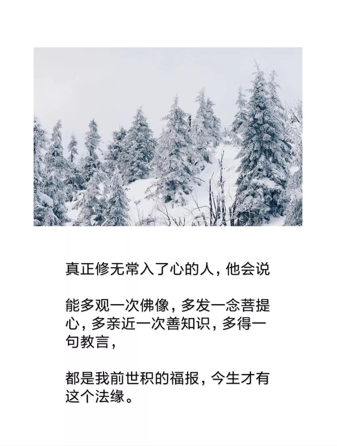 执什么什么悟成语(3)