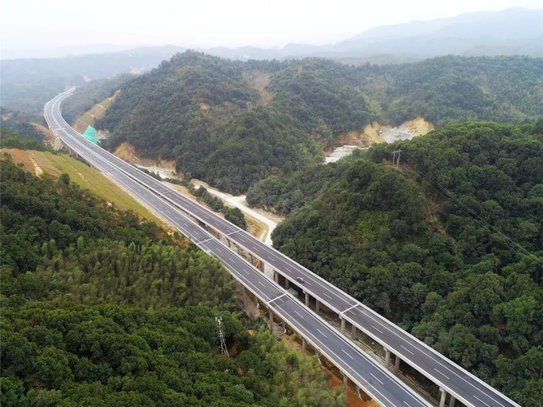 河惠莞高速公路龙紫段今日建成通车!紫金全域全面"融湾"驶入快车道