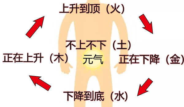 大白话说中医第八集|元气如何分五行