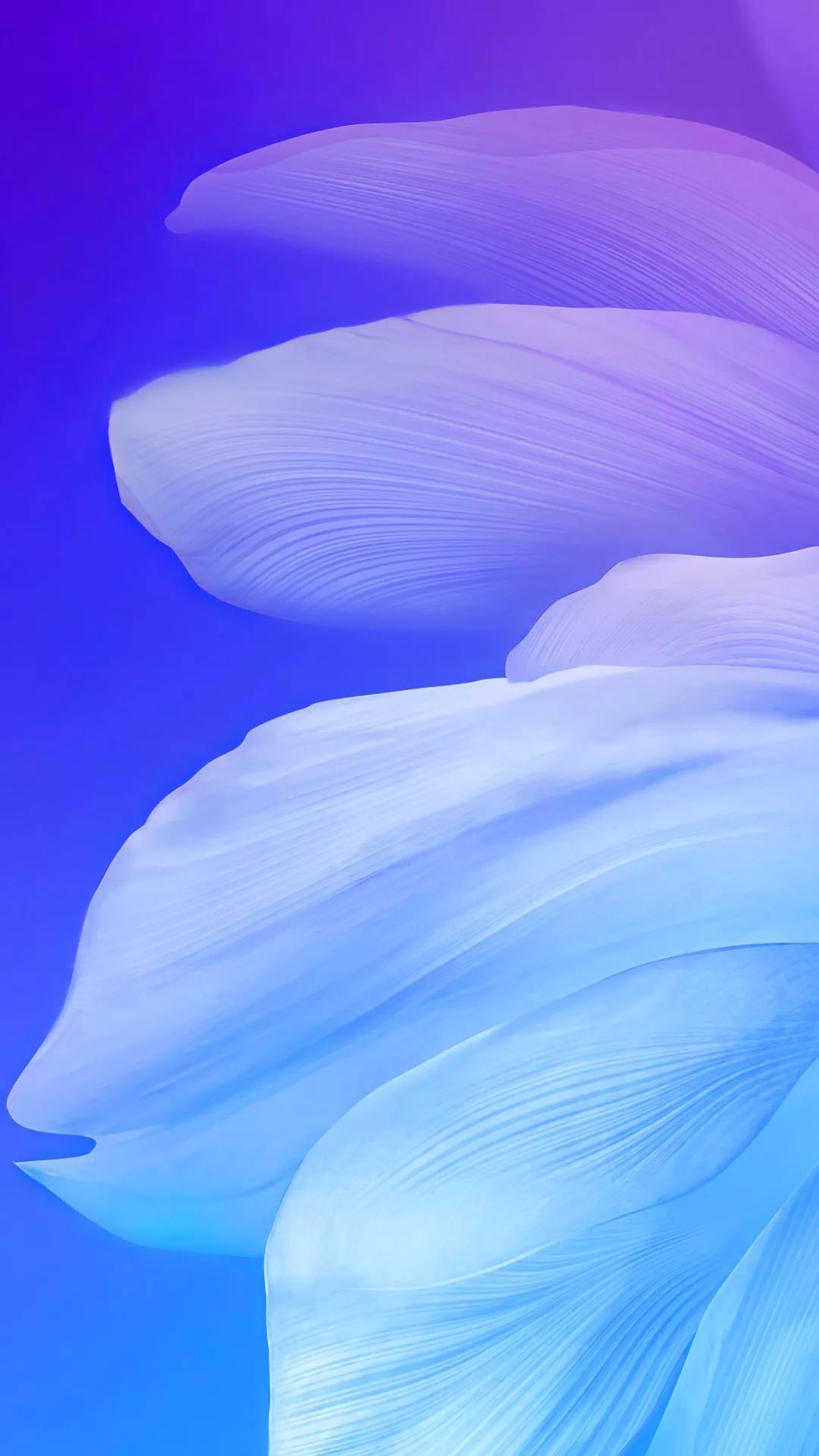 98f12bc880a44d81a663c05cc1da07e2.jpeg