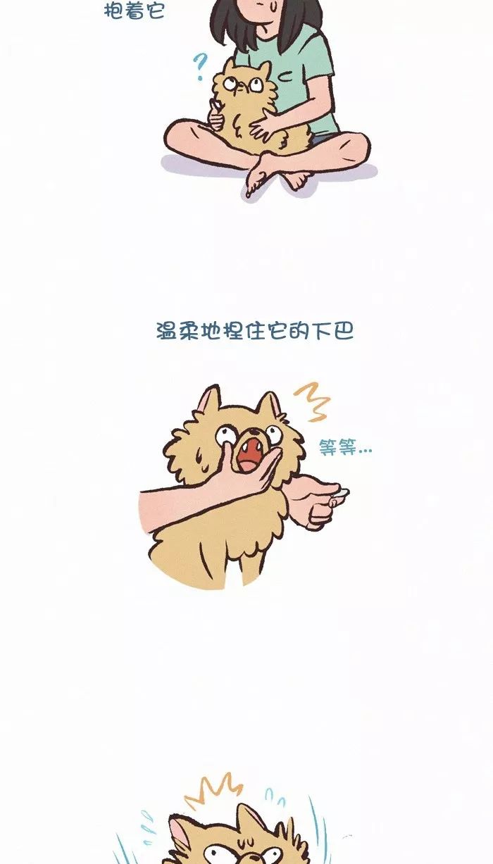 a89b22e386f5462aa5a86bf43e56ecd4.jpeg