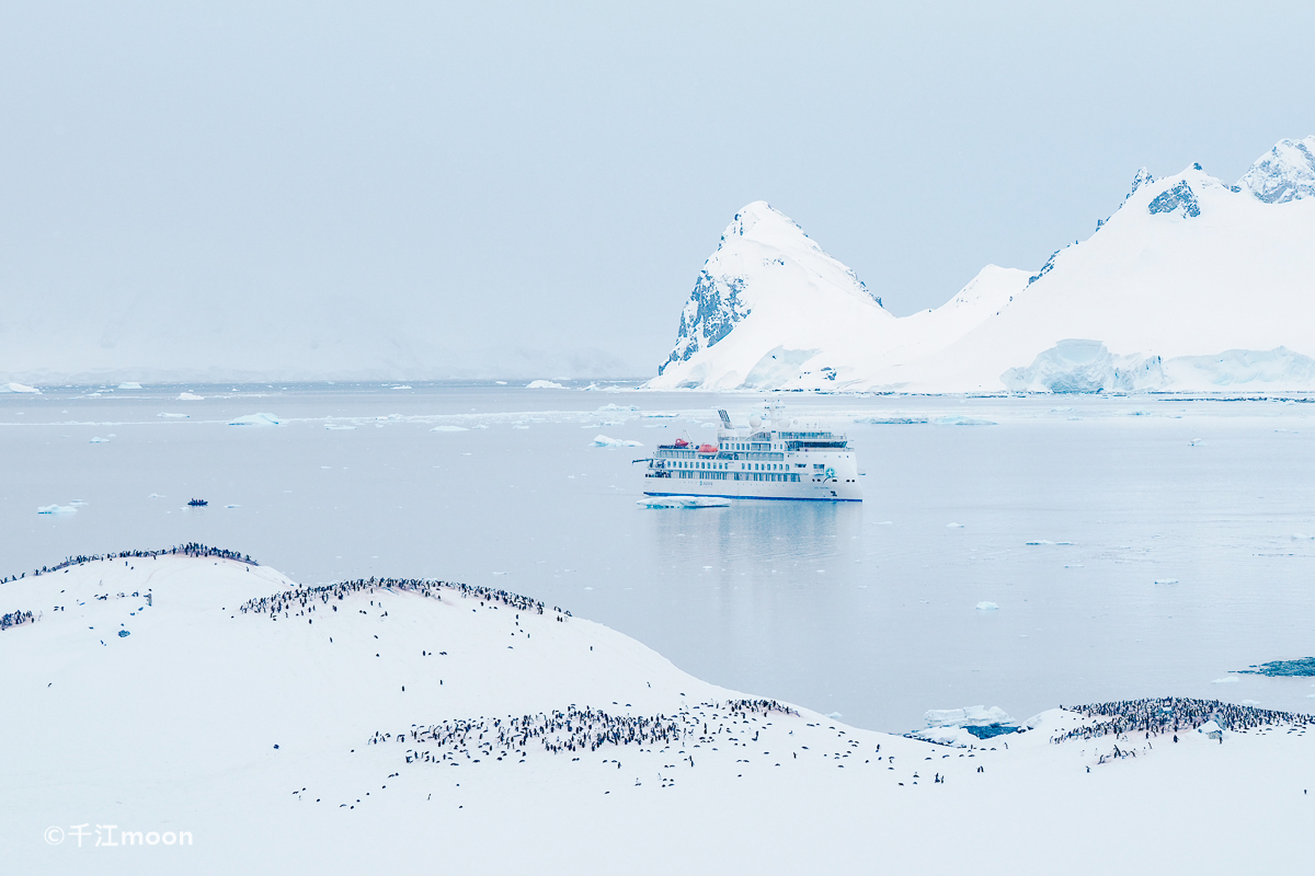 冰雪南极最有活力的风景线