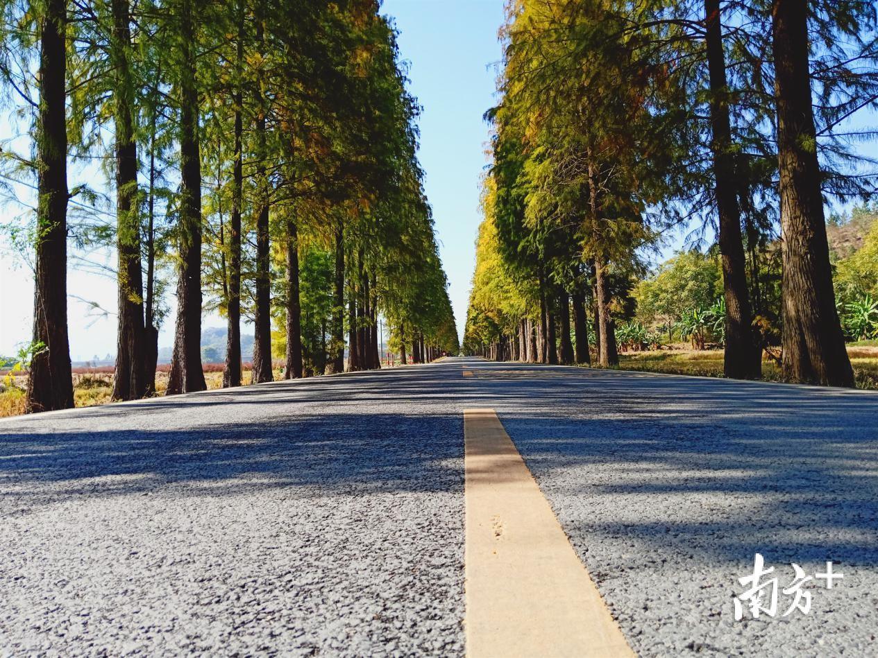 大山里公路上初冬时节韶关乐昌处处色彩斑斓