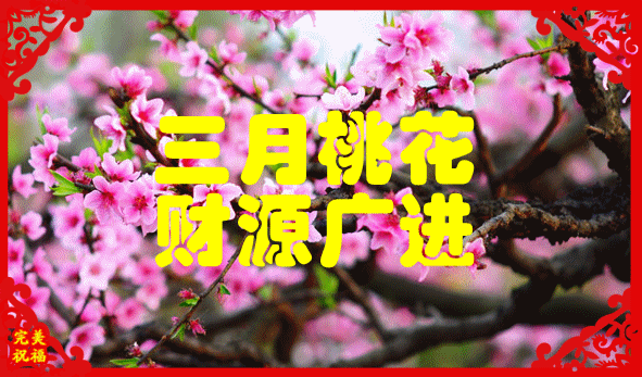 baac4eb4df2141f29d06512fff43cee1.gif