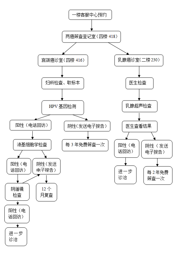 免费两癌筛查项目流程