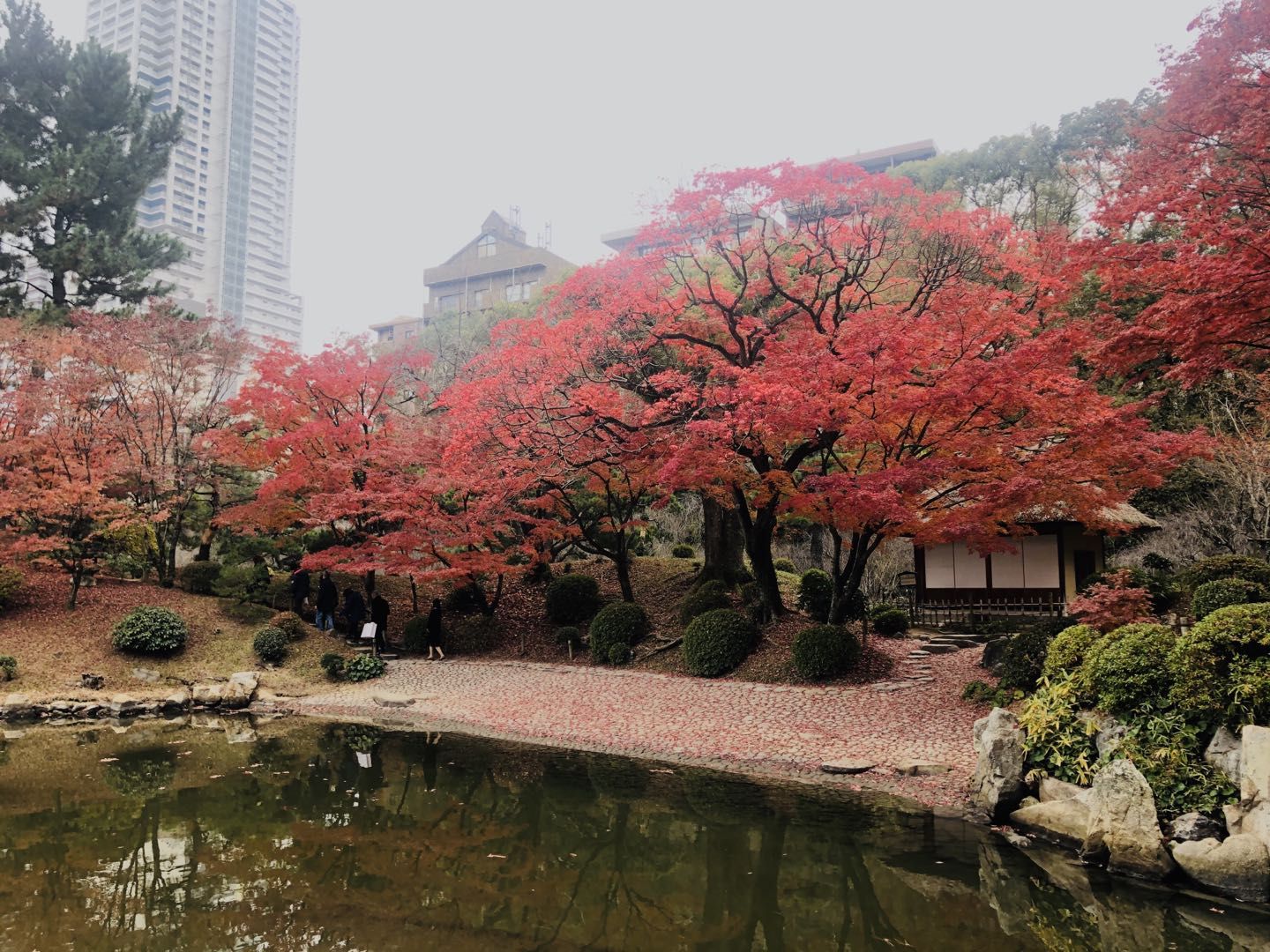 逛缩景园 登纸鹤塔 探寻广岛市的过去 今天与未来 原子弹