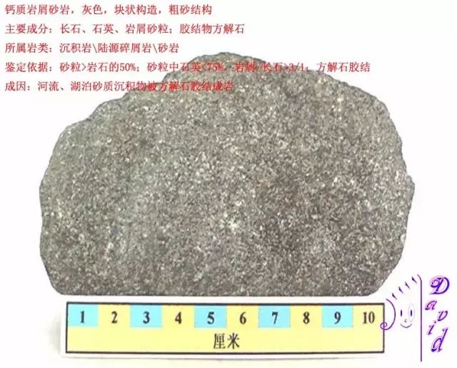 三大岩类190种岩石鉴定图册,看完你就是专家!_砂岩