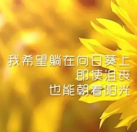 d35e040a159f4405aea1602f4bec10d8.jpeg