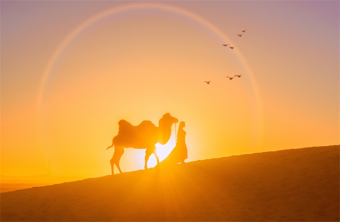秦始皇陵现“双峰”金骆驼！丝绸之路开通以前中西文化的交流已有证可考