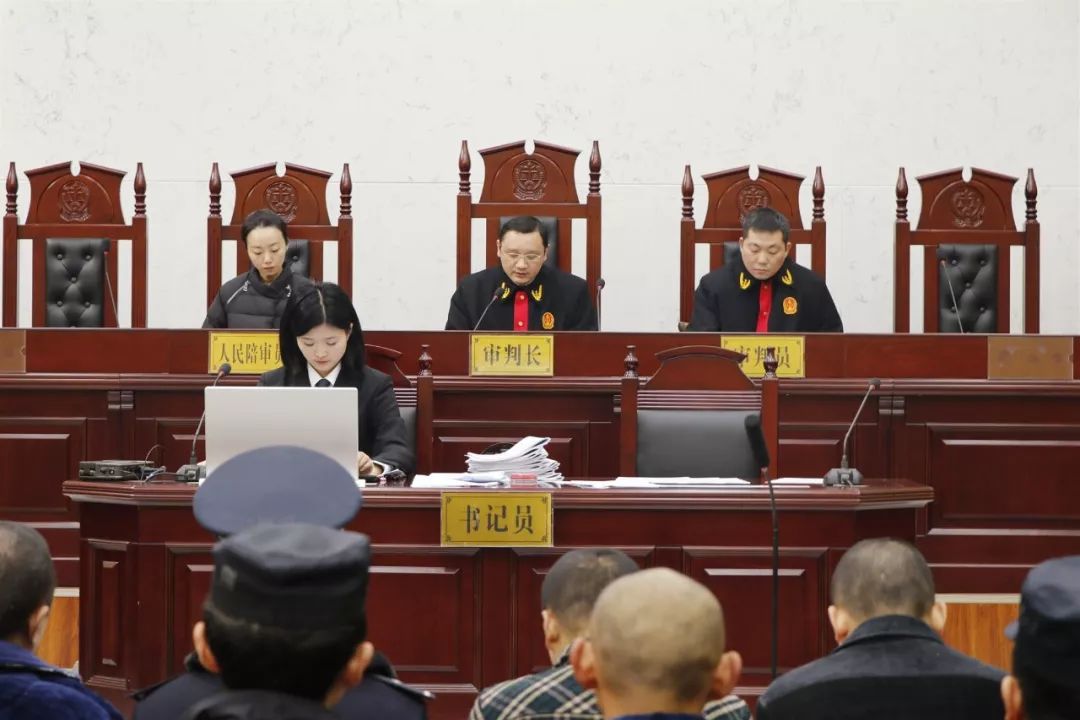 开设赌场暴力胁迫非法拘禁故意伤害洪雅本地涉嫌恶势力犯罪集团案件判
