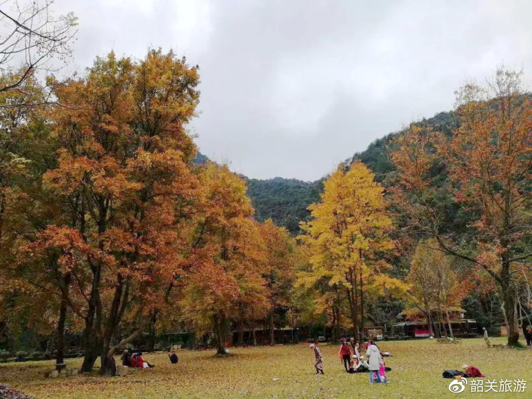 灵溪河森林公园持旅游年卡就可以免费观光啦还有更多美景等着你