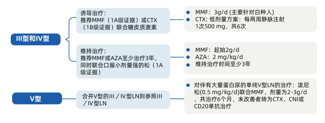 吗替麦考酚酯在狼疮性肾炎诊疗指南中的地位变迁_治疗