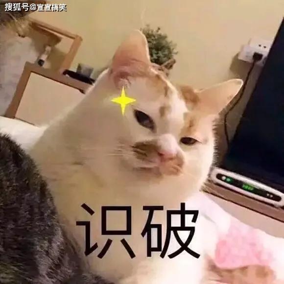1f52abbb72b940239717584da724e1b9.jpeg