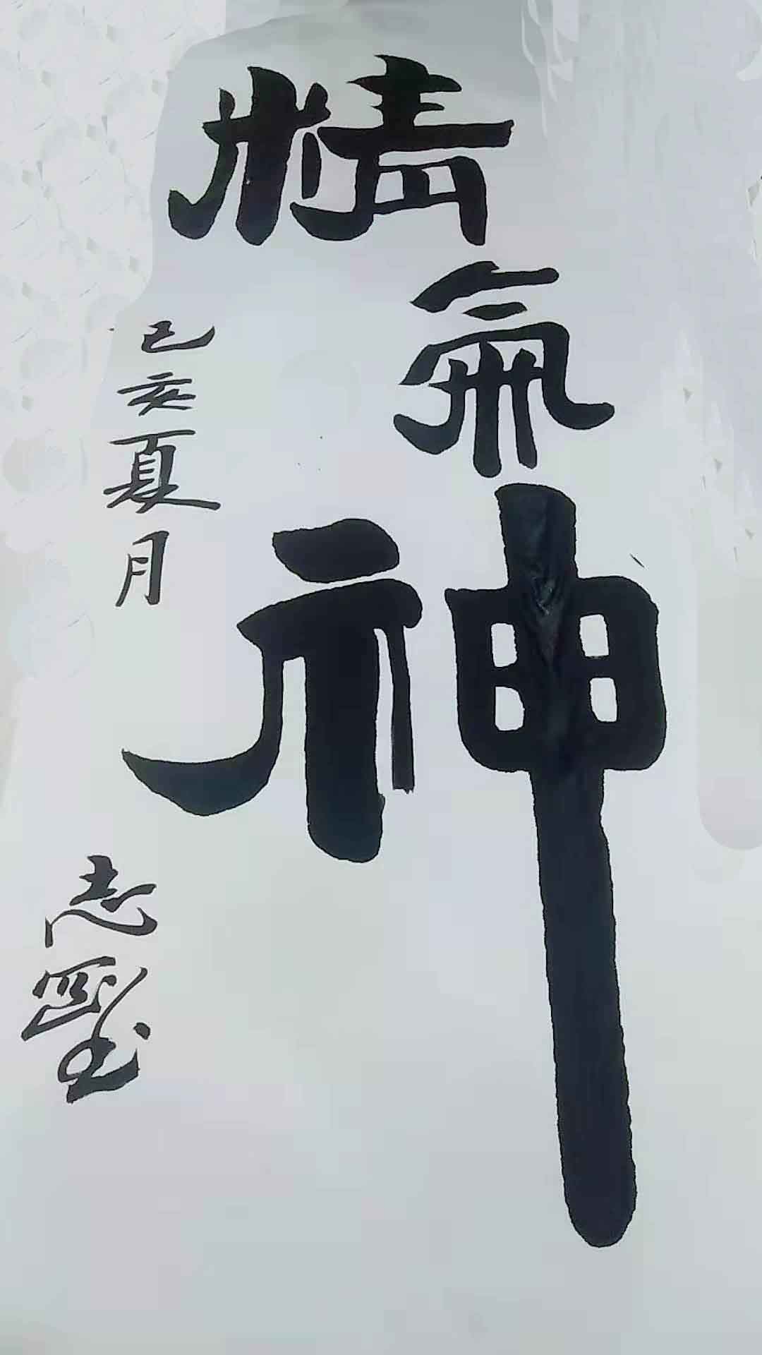 卢志刚 书法