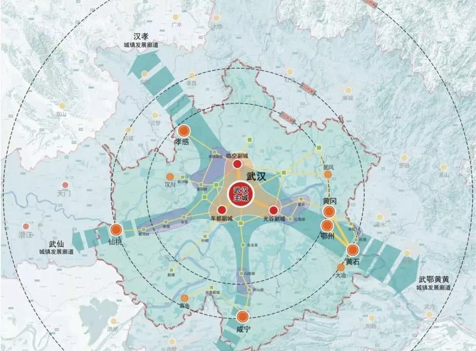 武汉2020出生人口_武汉人口分布图