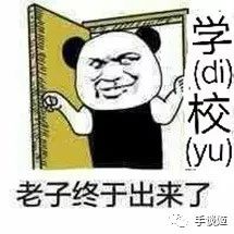 377a23984df3482f962d4293315783ca.jpeg