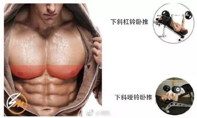 上胸中胸下胸中縫及外沿 健身減肥達人 第7张
