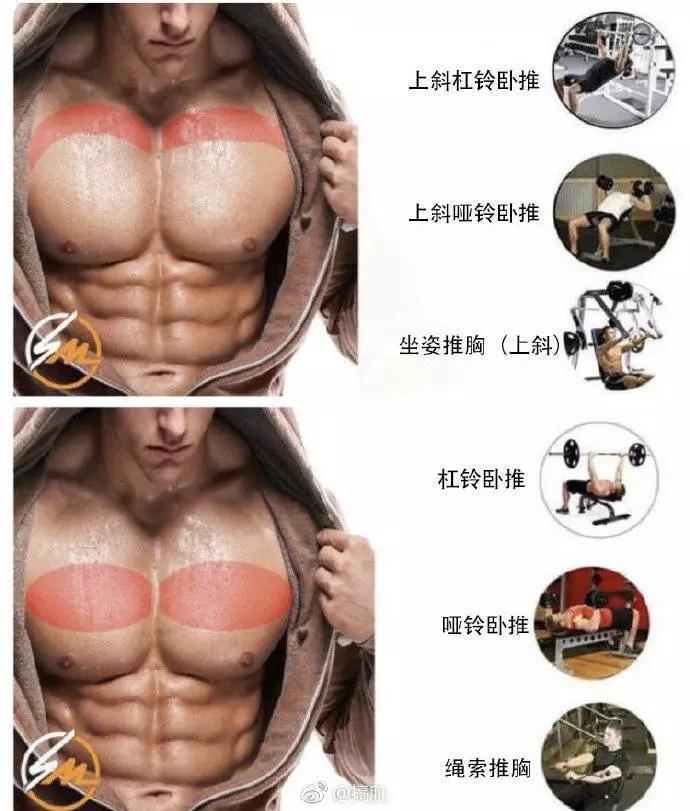上胸中胸下胸中縫及外沿 健身減肥達人 第6张