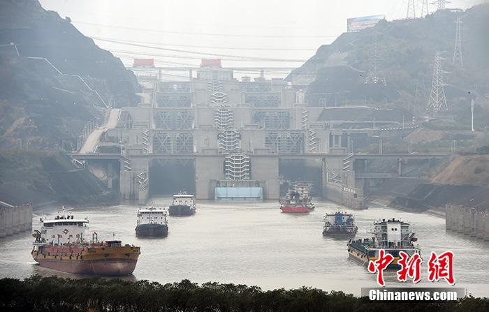 长江流域重点水域常年禁捕28万渔民生计如何保障？_自然保护区