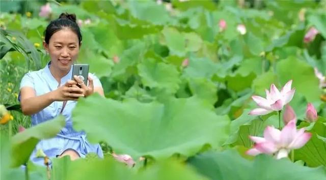 香什么溢成语_成语故事简笔画