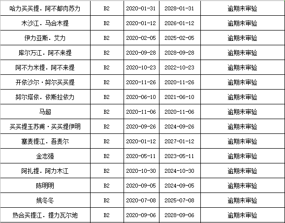 伊宁市区人口_伊宁(2)