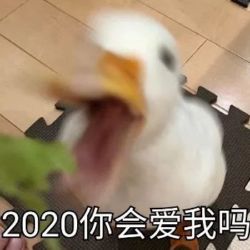 682452c0d6c441f48af562b9aa9dc3ac.jpeg