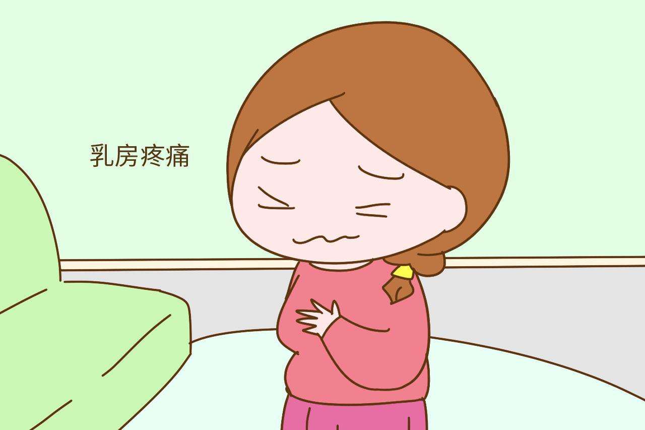 怀孕多久乳房不胀痛 6b6aa0d82db543a4a3c6d608bed9a915.jpeg