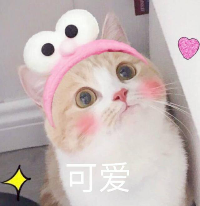 怎样才能可爱的撒娇 6dd3d7fc69274809bf0b8d0a1d76139b.jpeg