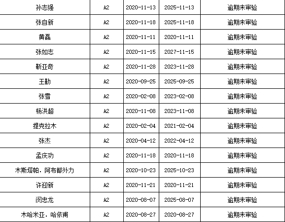 伊宁市区人口_伊宁(2)