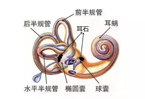 7a04ac01c5f343d3b0c6594c7fb84c20.JPG
