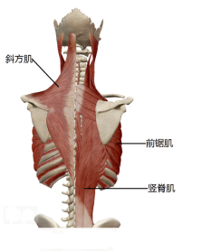 7cc157929b04446f868809a00d15de2e.png